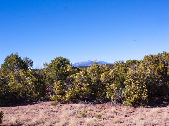 5th image of LOT 60 Navajo Ranch Resorts Penthouse 3