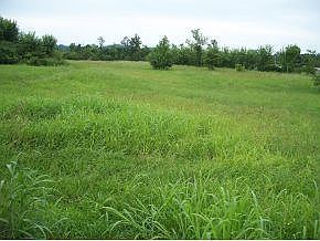 1st image of Camp Creek Road