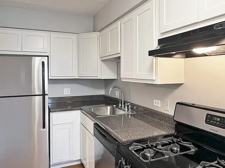 527-533 Des Plaines Ave. and 7624-7626 Wilcox — Photo 6