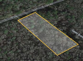 Tram Rd, Wacissa, FL 32344