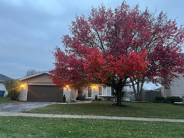 1516 Wayne Dr — Photo 1