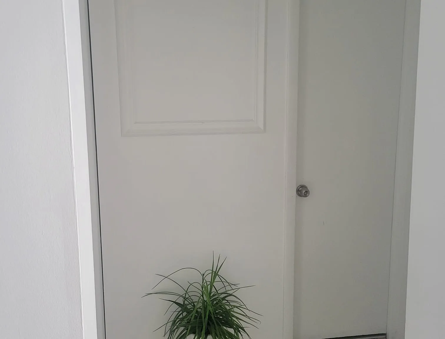 3 bed, 1600 sqft, $2,799 — Photo 2