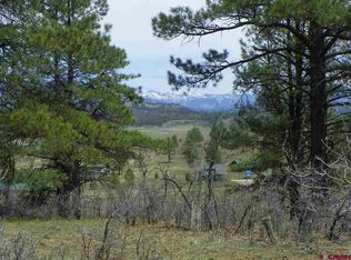 295 Echo Dr, Pagosa Springs, CO 81147