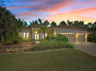 11420 Savannah Lakes Dr, Parrish, FL 34219