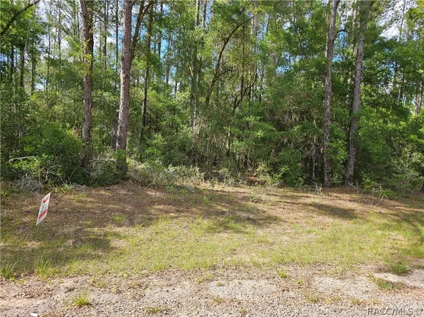 767 E Byrd Loop, Citrus Springs, FL 34434