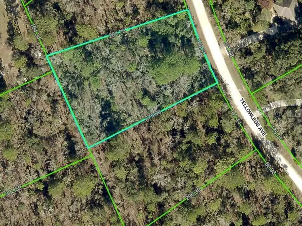 10506 YELLOWLEGS AVENUE LOT 12, WEEKI WACHEE, FL 34614