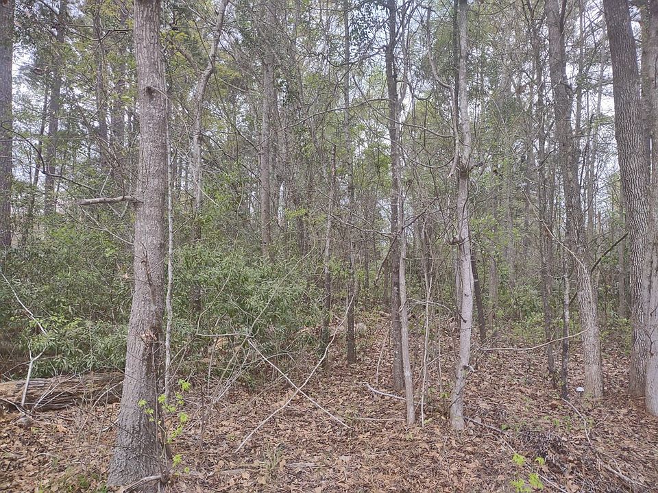 2nd image of LOT 19 Charles Dr