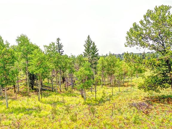 2nd image of 388 Bob White Cir