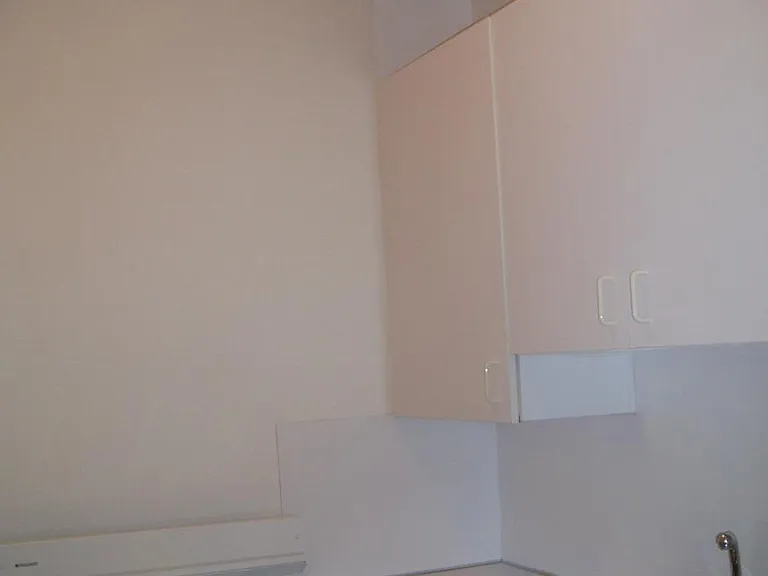 4710 Cass St #1 — Photo 8
