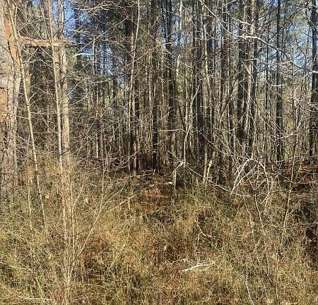 4th image of Farrell Rd