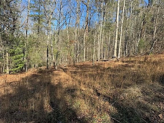 5th image of 1769 Longbranch Dr #1769