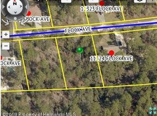 00 Flock Ave, Weeki Wachee, FL 34613