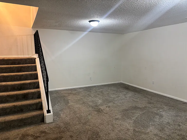 Basement Bonus Room/Den