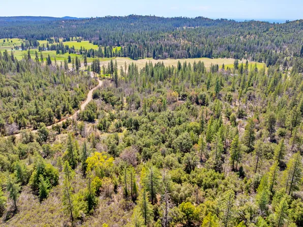 Fiske Road Converse Rd, Coulterville, CA 95311