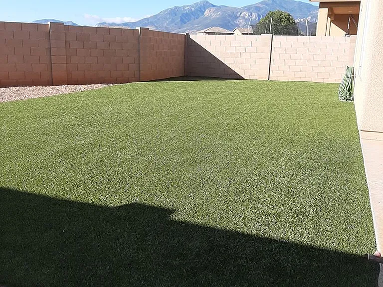 4596 Tranquility St — Photo 15