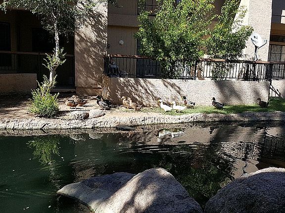 Beautiful Views in backyd