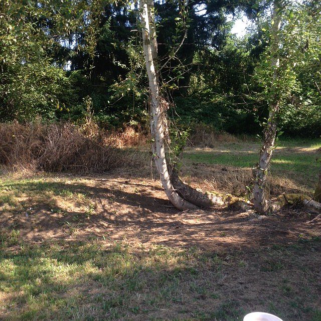 1st image of 5609 104th St E