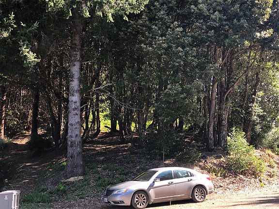 4th image of 85 Carson Ct