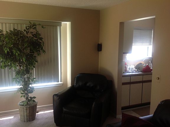Living room/kitchen