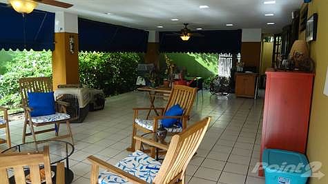 DSC00968