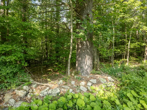0 Old Gale Hill Road Road, East Chatham, NY 12060