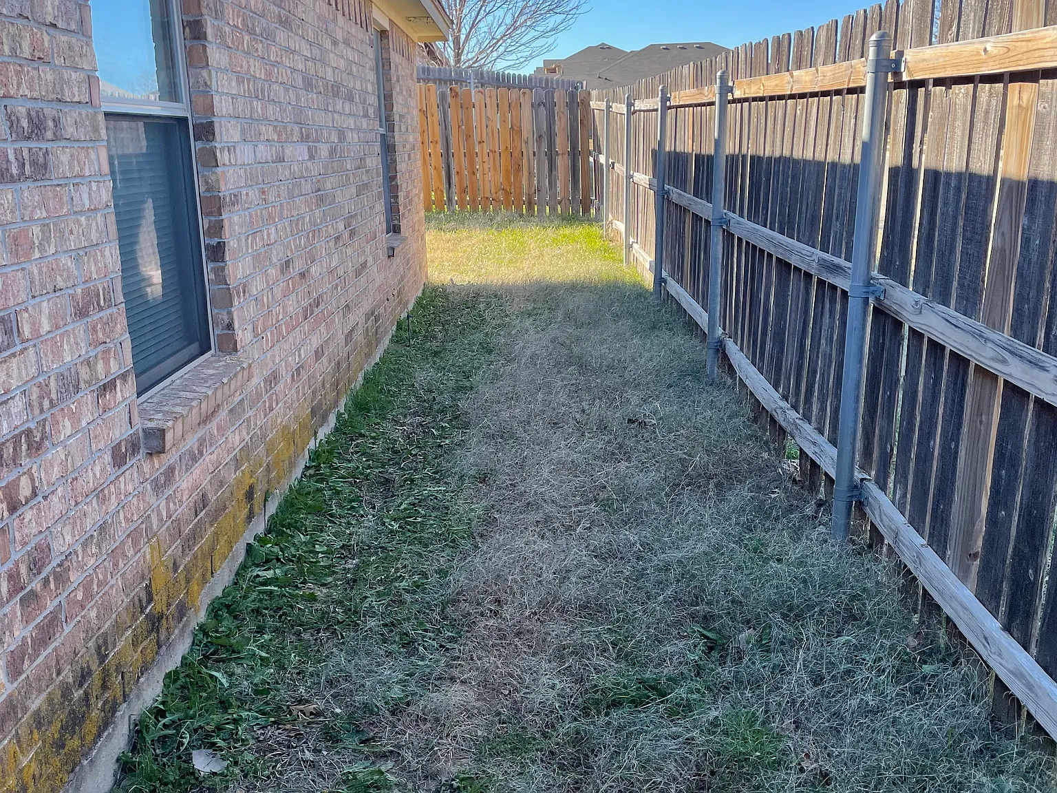 2 bed, 980 sqft, $1,399 — Photo 2