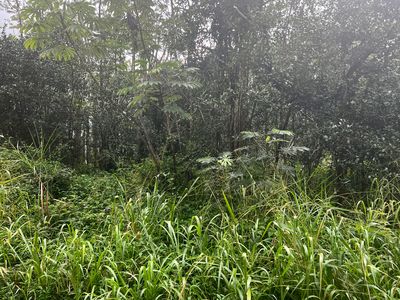 Pakalana Rd Lot 306, Pahoa, HI, 96778