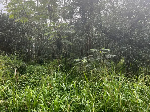 Pakalana Rd Lot 306, Pahoa, HI 96778