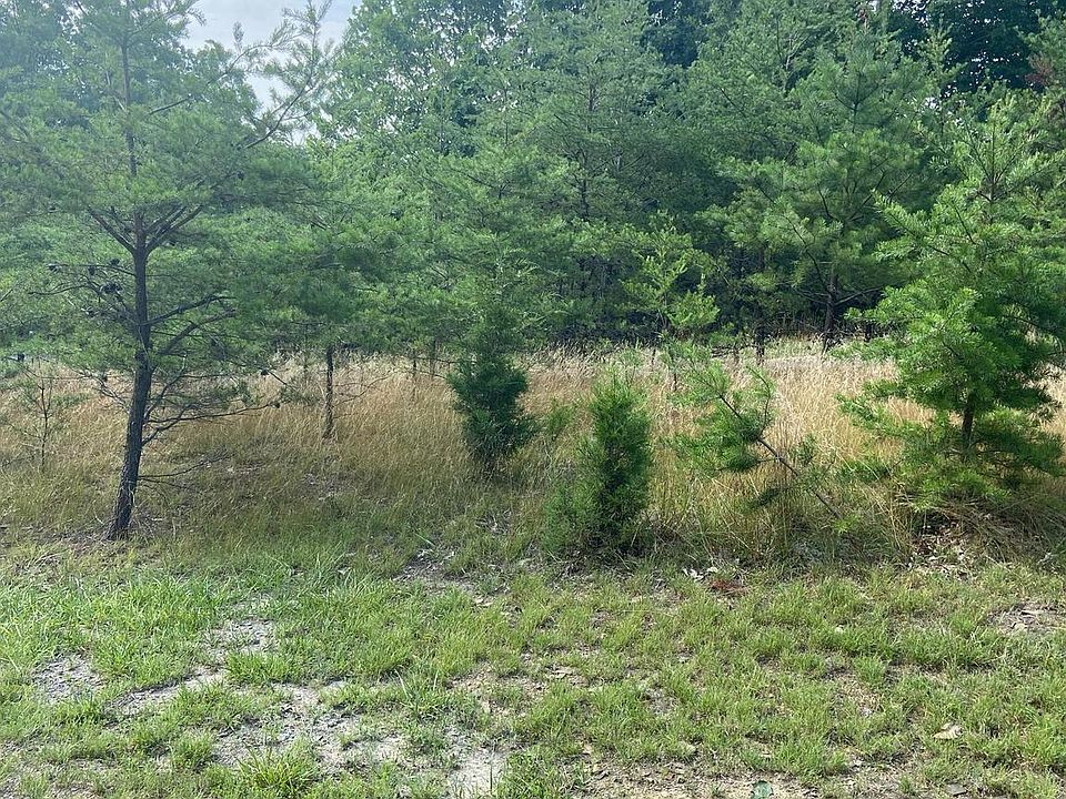 2nd image of Jason Ln