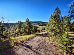 2566 Yorktown Rd, Cripple Creek, CO 80813