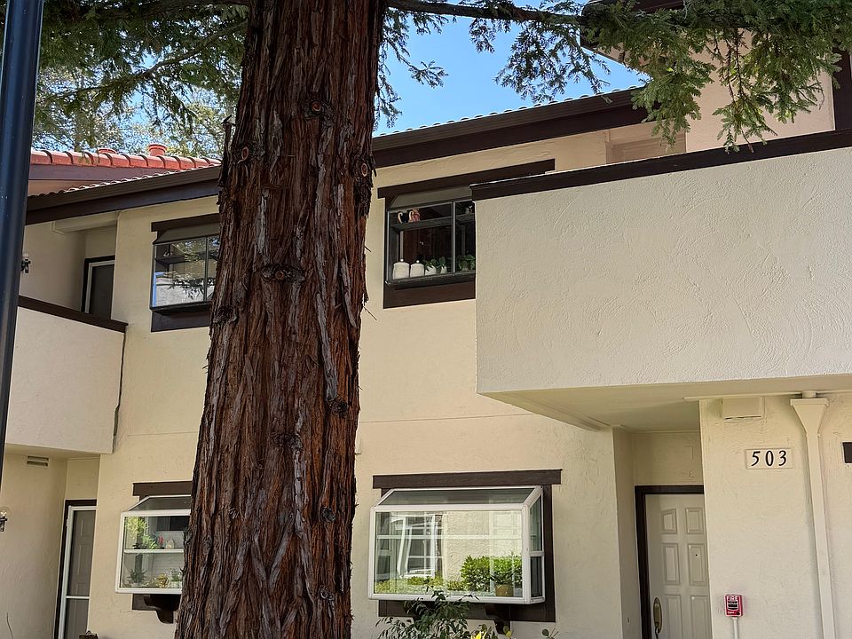 Bottom Unit 503. Shade from nearby trees.
