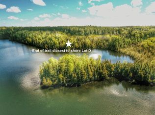 LOT Fox Lake Rd #D, Bigfork, MN 56628