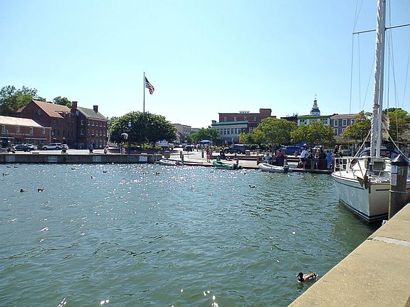 Annapolis WaterFront