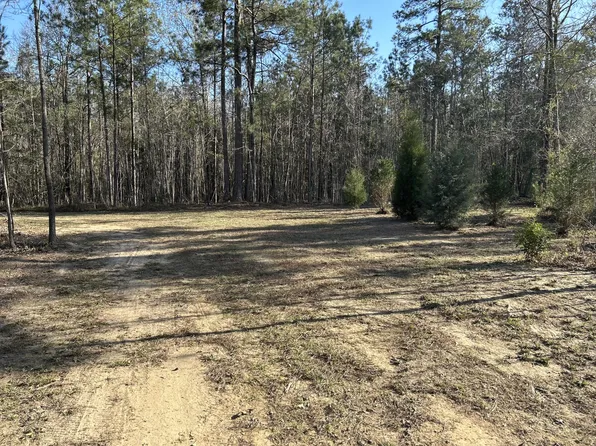 490 Falling Leaves Trl, Bonneau, SC 29431