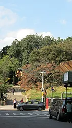 Rented by Realty on the Greene