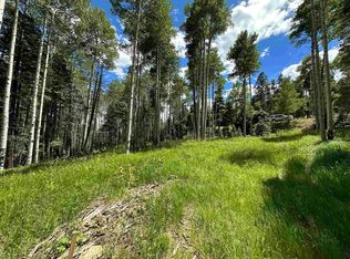 LOT 1433 Calle De Los Caballeros, Angel Fire, NM 87710