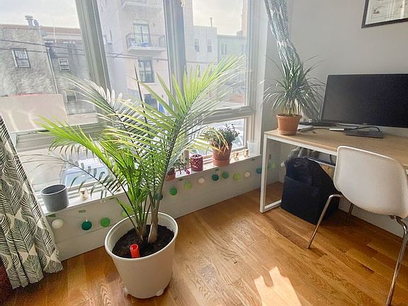3rd image of 880 Dekalb Ave APT 207