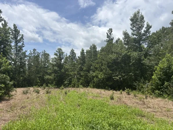 0 County Road 8, Banks, AL 36005
