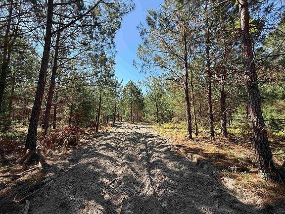 3rd image of 43 Acres - 5432 Juneburn Rd.
