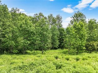 157 Whitetail Mountain Rd #11, Summit, NY 12175