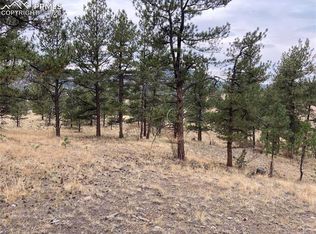 261 Timber Croft, Florissant, CO 80816