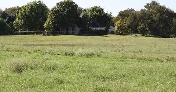 3rd image of 16525 Decker Creek Dr