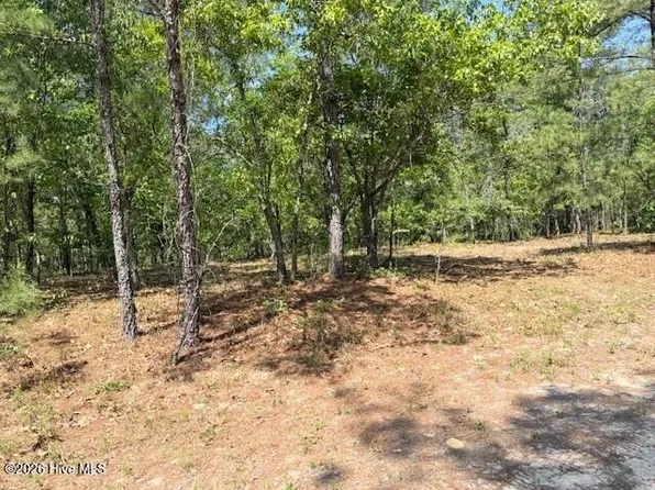 1028 Sorrell Dr #653, Vass, NC 28394