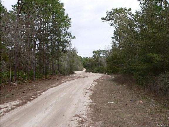 4th image of 3310 N Amphibian Point