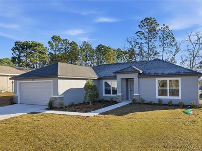 10302 N Athenia Dr, Citrus Springs, FL, 34434