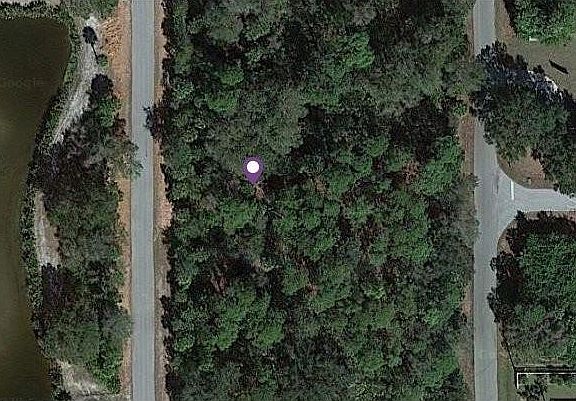 4th image of 3382 Century St