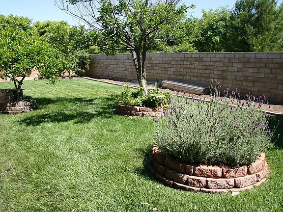 One partial view of the backyard.