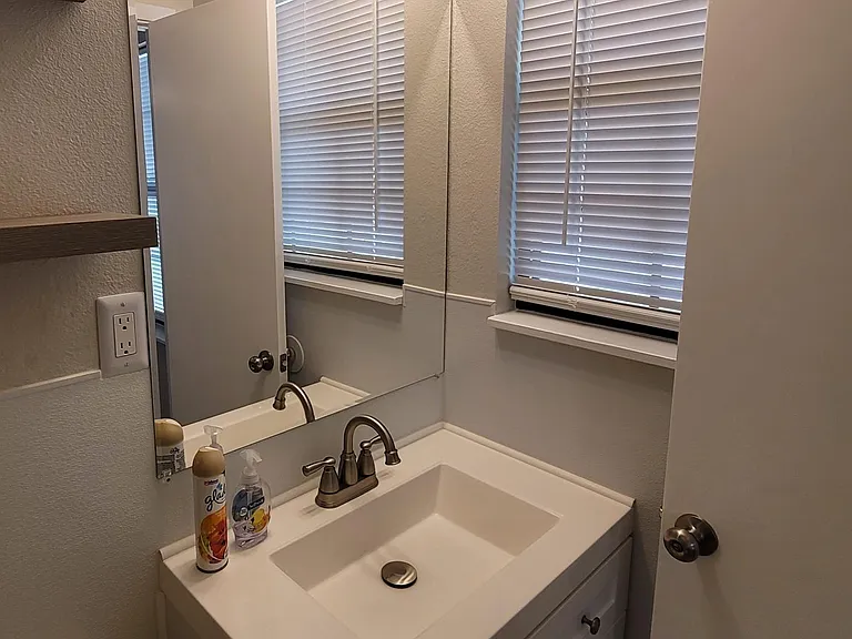 Primary bathroom with all new vanity, mirror, and lighting. Standup shower with seating inside. Second view.