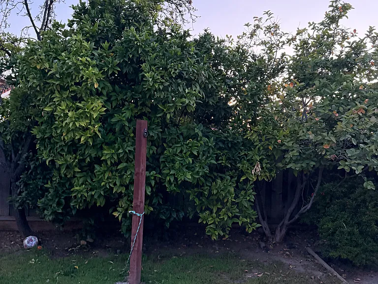 3277 Fallen Oak Ct — Photo 29