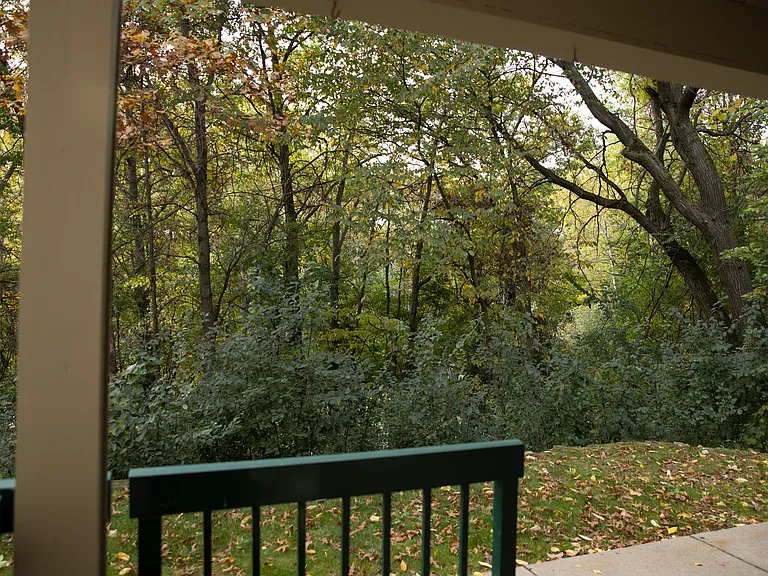 Wooded views